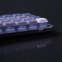 FOCUS40