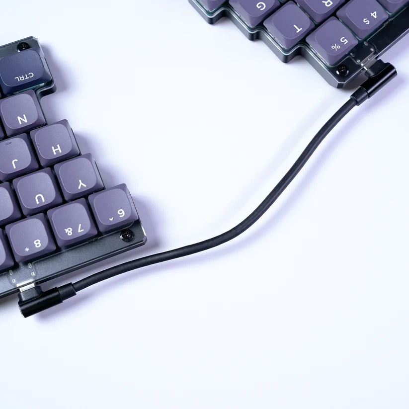 USB-C to Cケーブル（20cm）