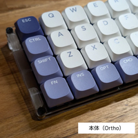 GoForty v2