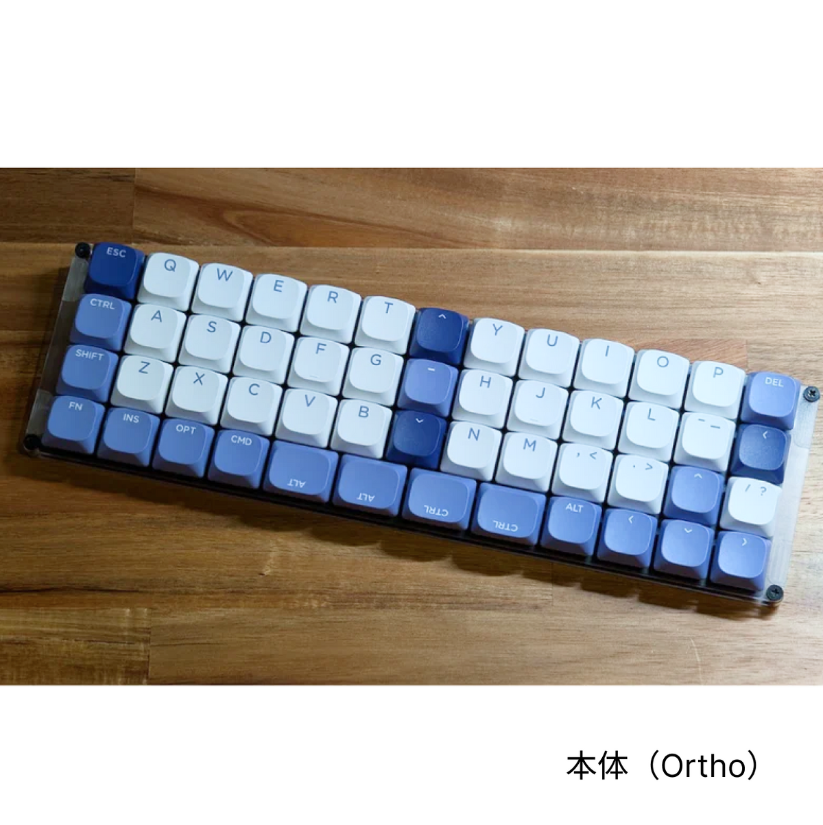 GoForty v2