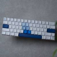 「Acid Caps “Premium”」Reflex Blue R2